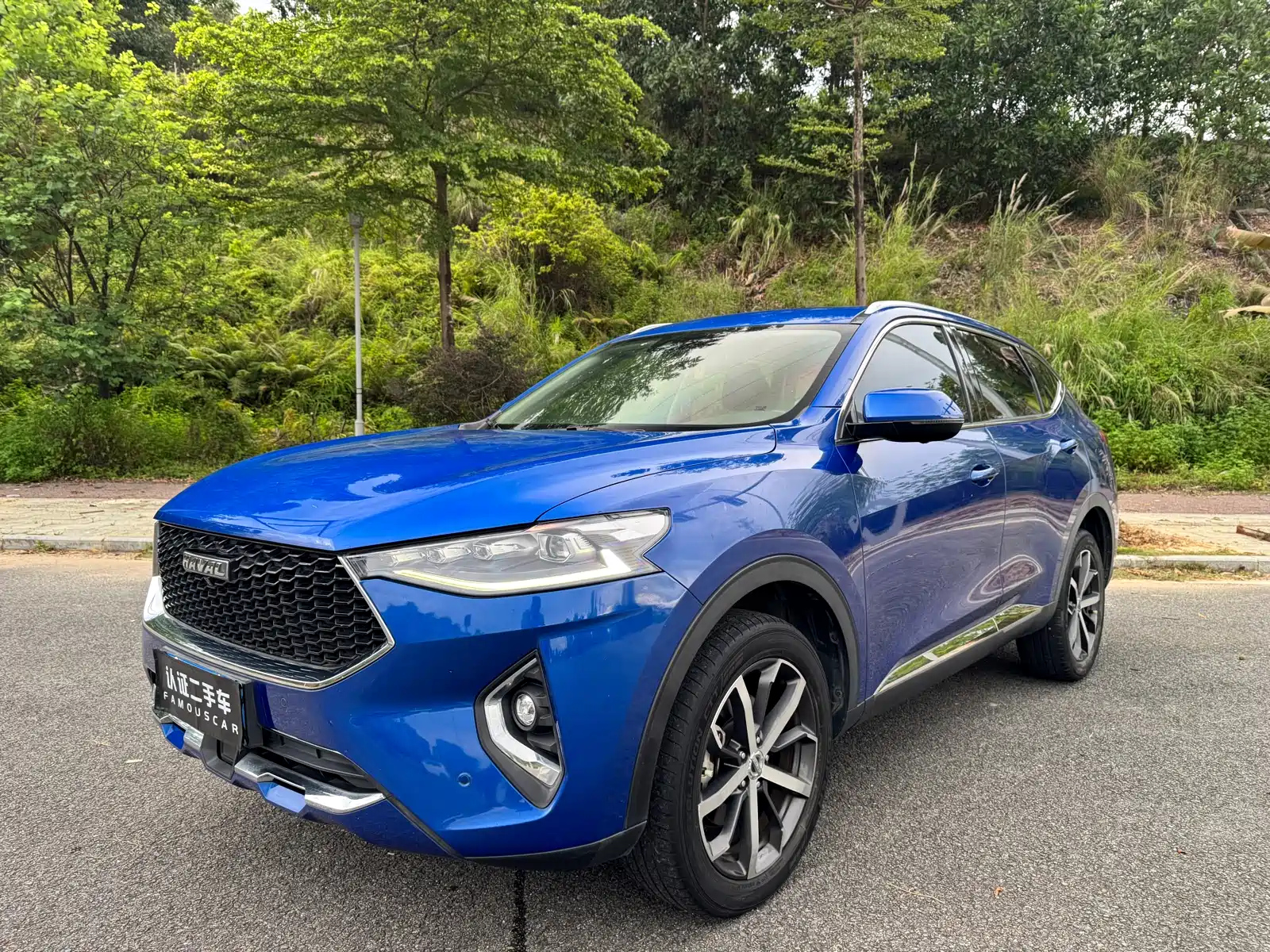 HAVAL F7 2019