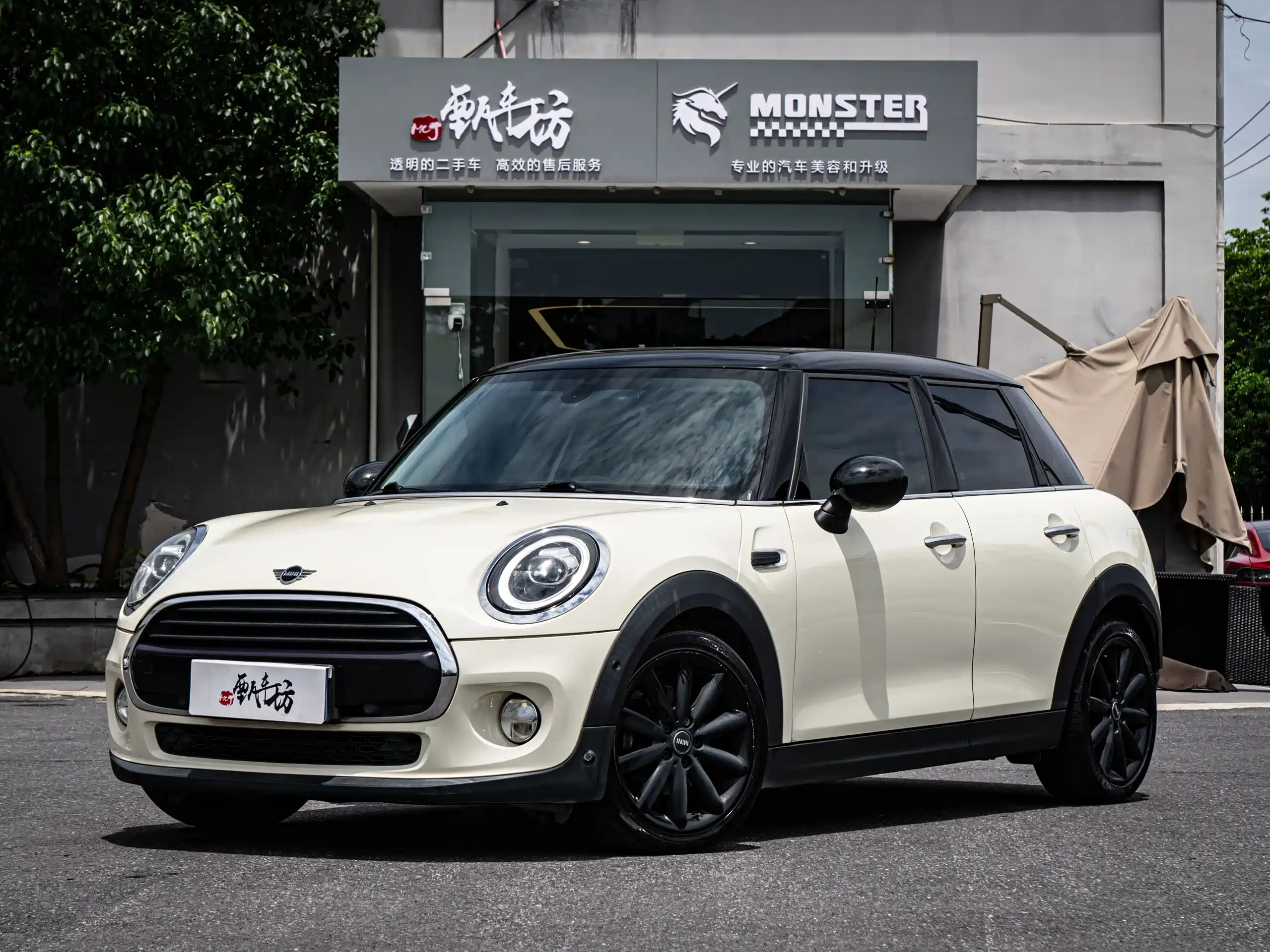 MINI OTHER 2019