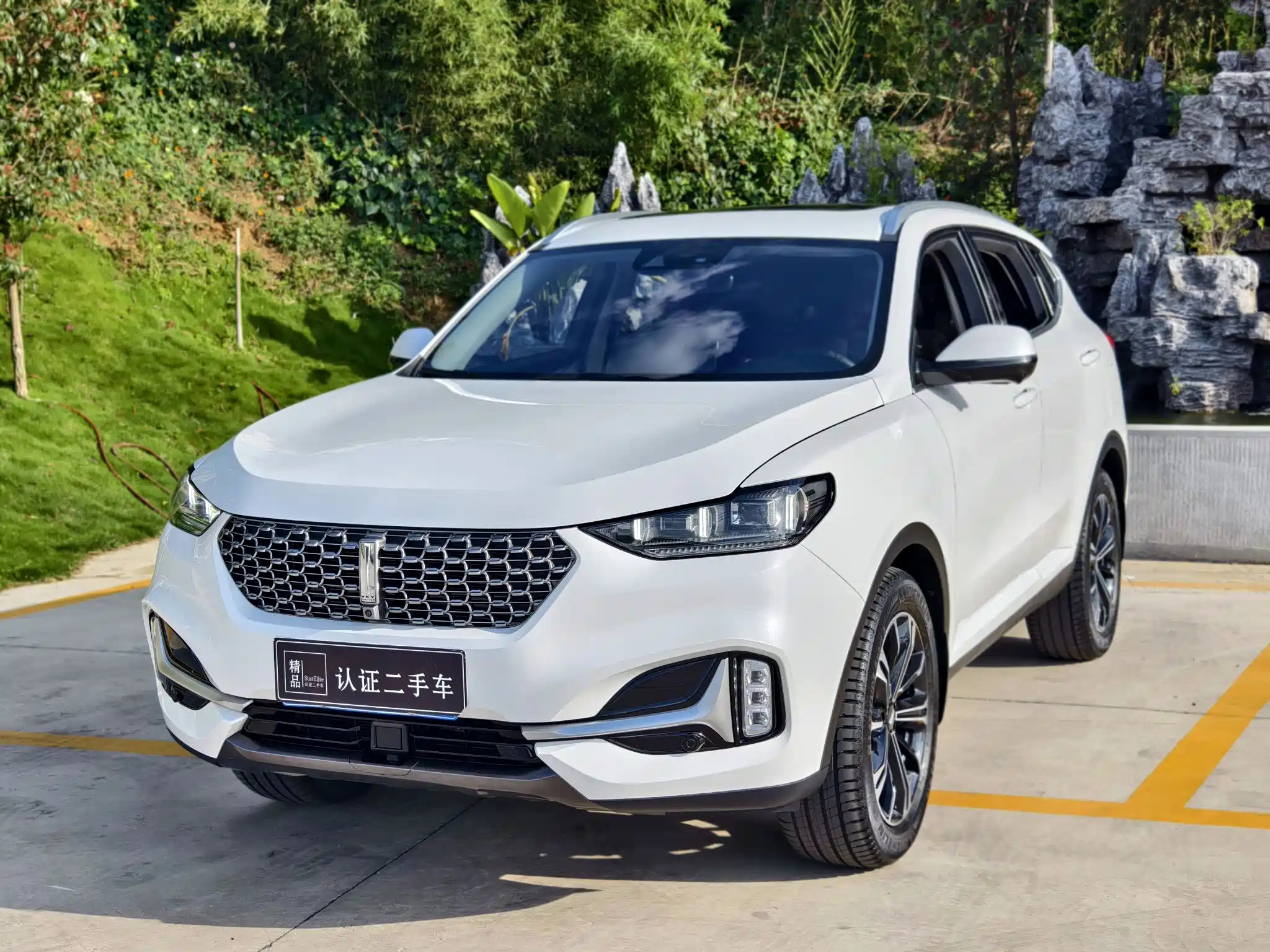 WEY VV6 2020