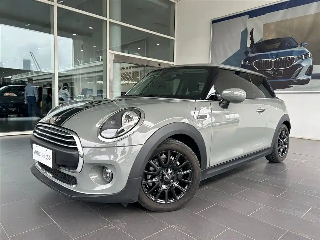 MINI OTHER 2021