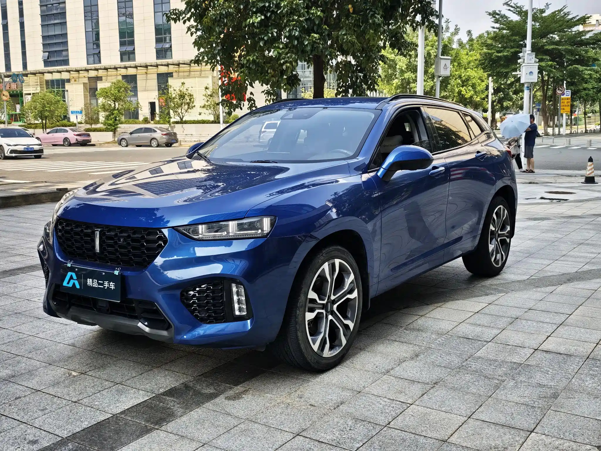 WEY VV7 2017