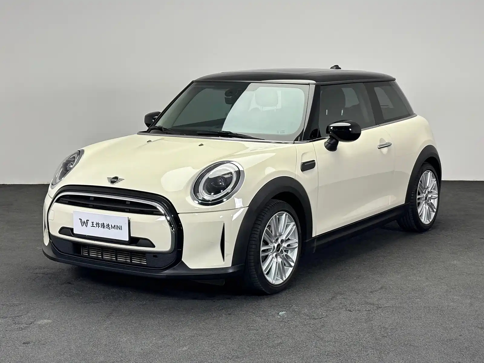 MINI OTHER 2022