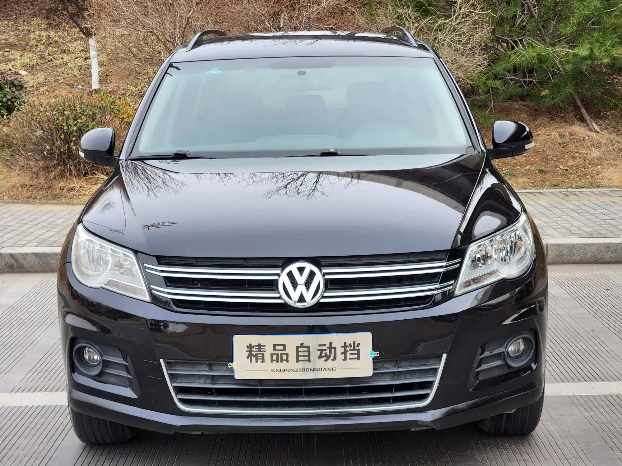 VOLKSWAGEN TIGUAN 2012