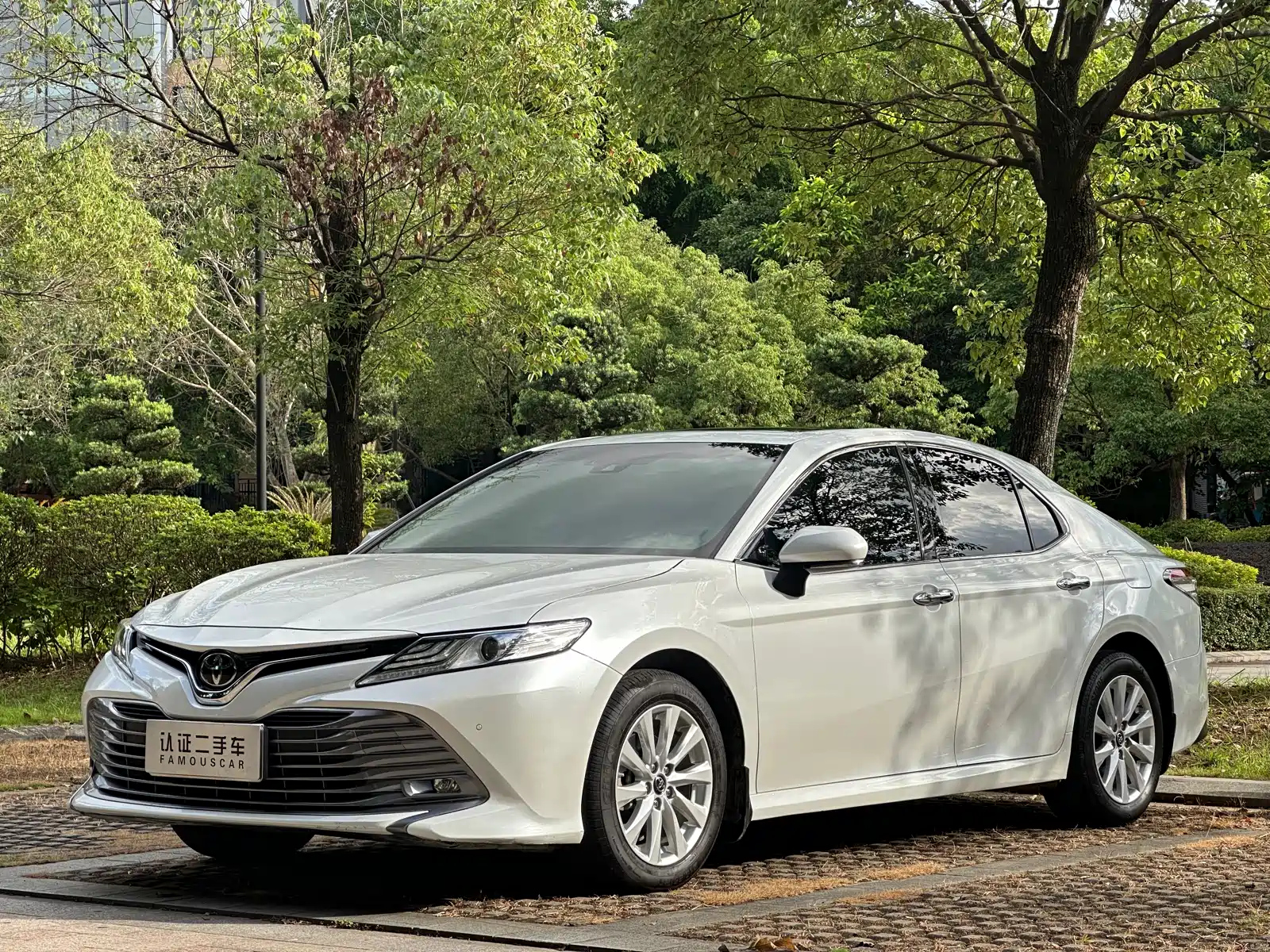 TOYOTA CAMRY 2019