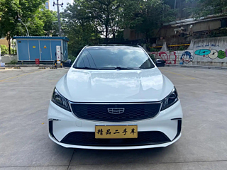 geely-auto binrui