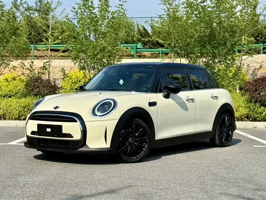 MINI OTHER 2022