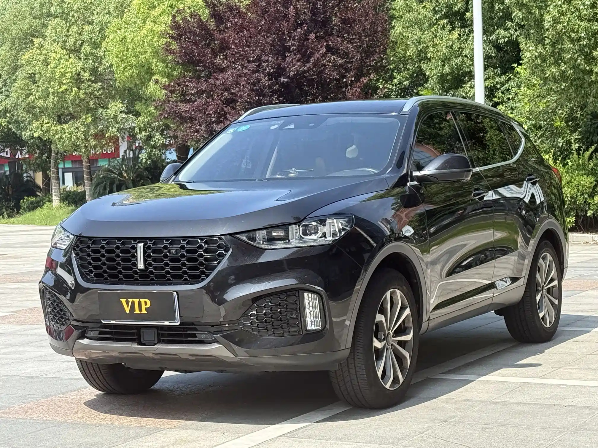 WEY VV6 2018