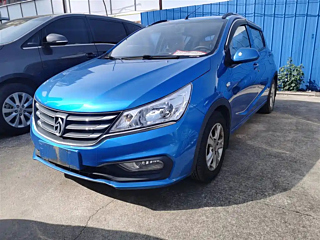 bao-jun 310