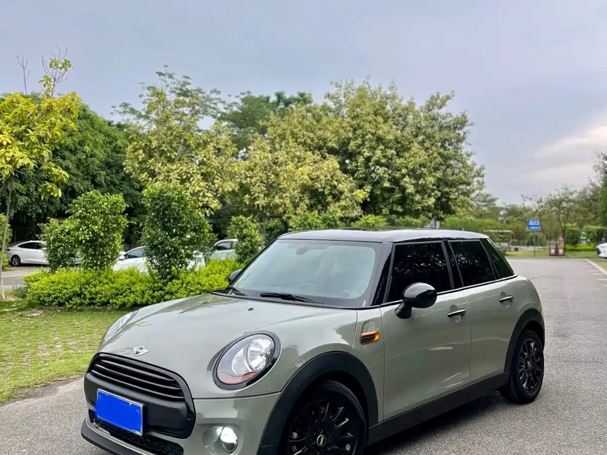 MINI OTHER 2018