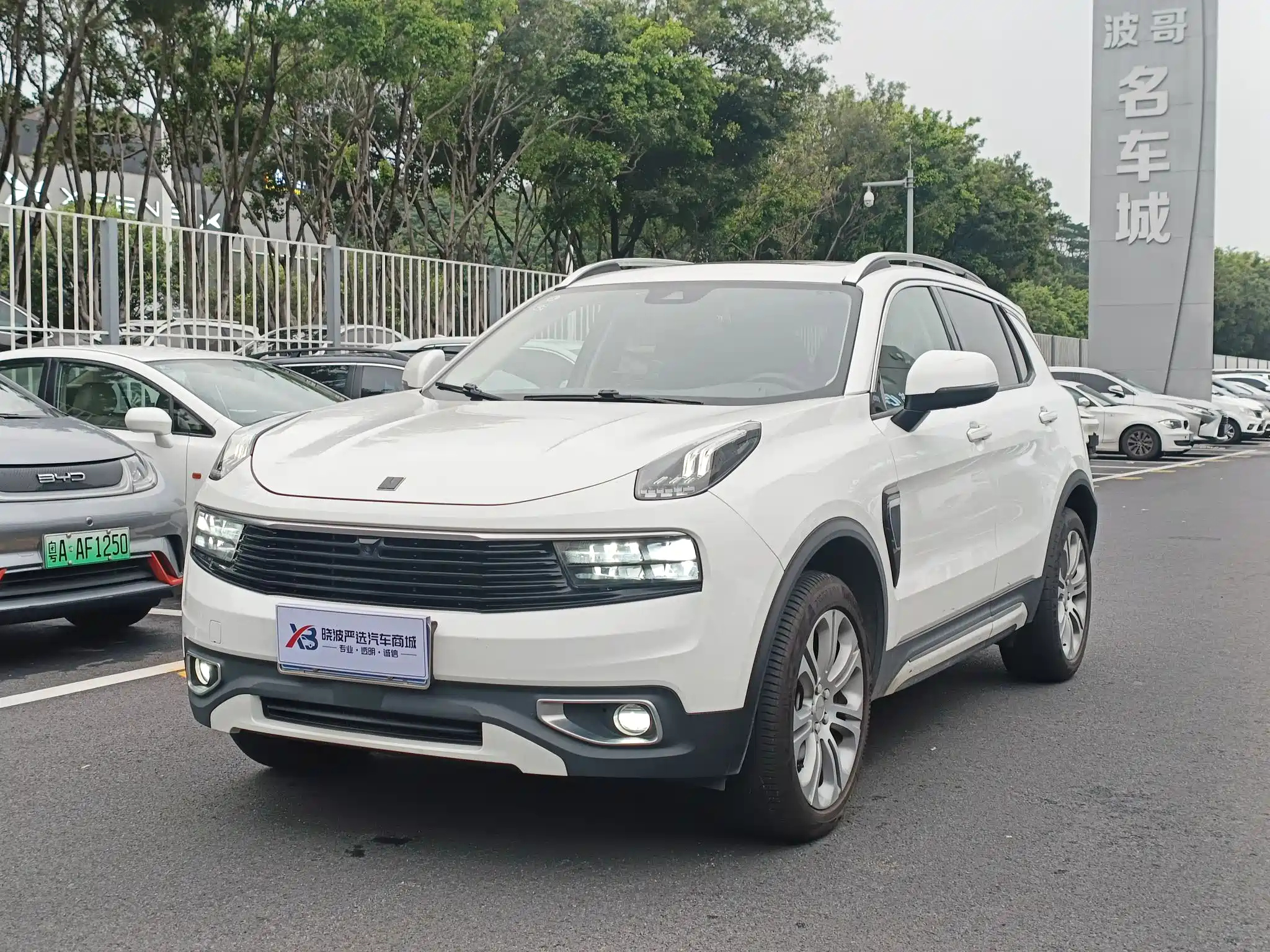 LYNK 01 2019