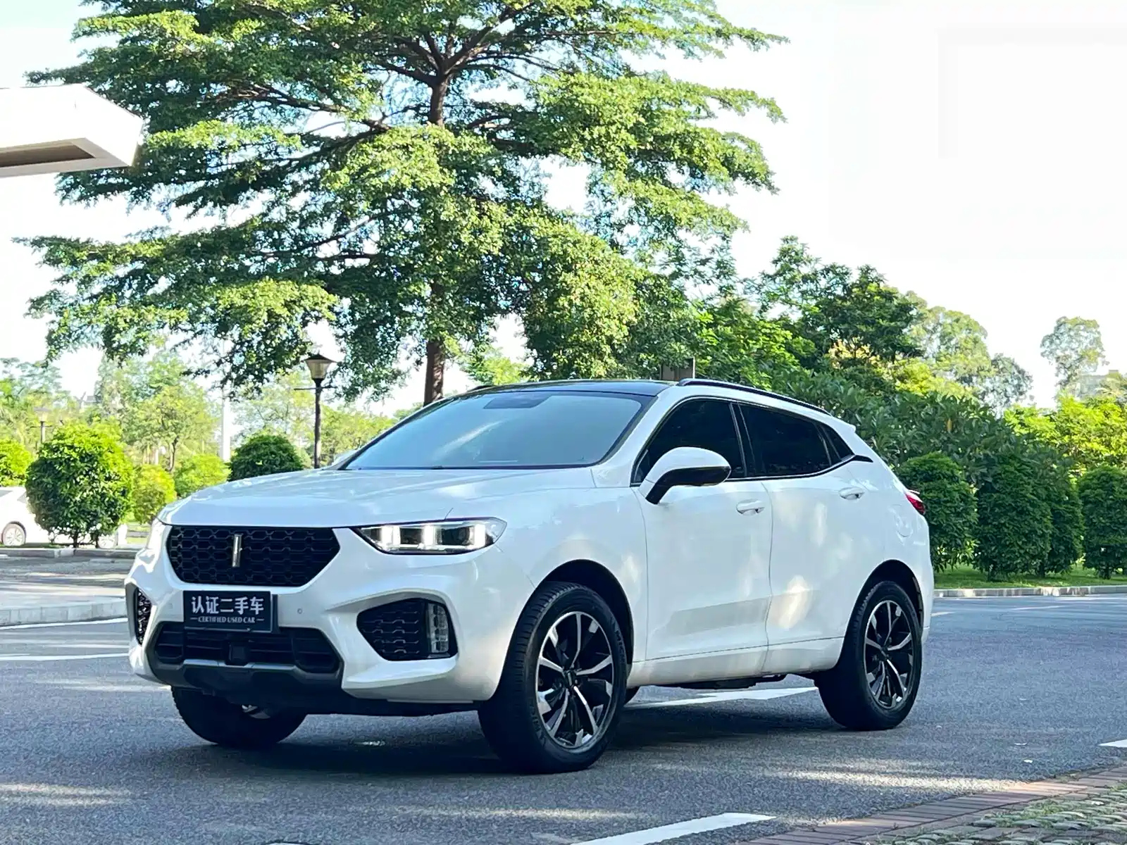 WEY VV5 2019