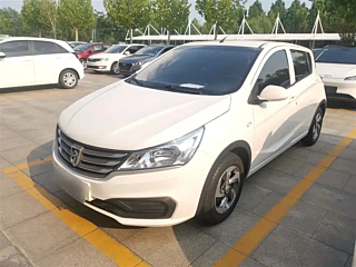 bao-jun 310