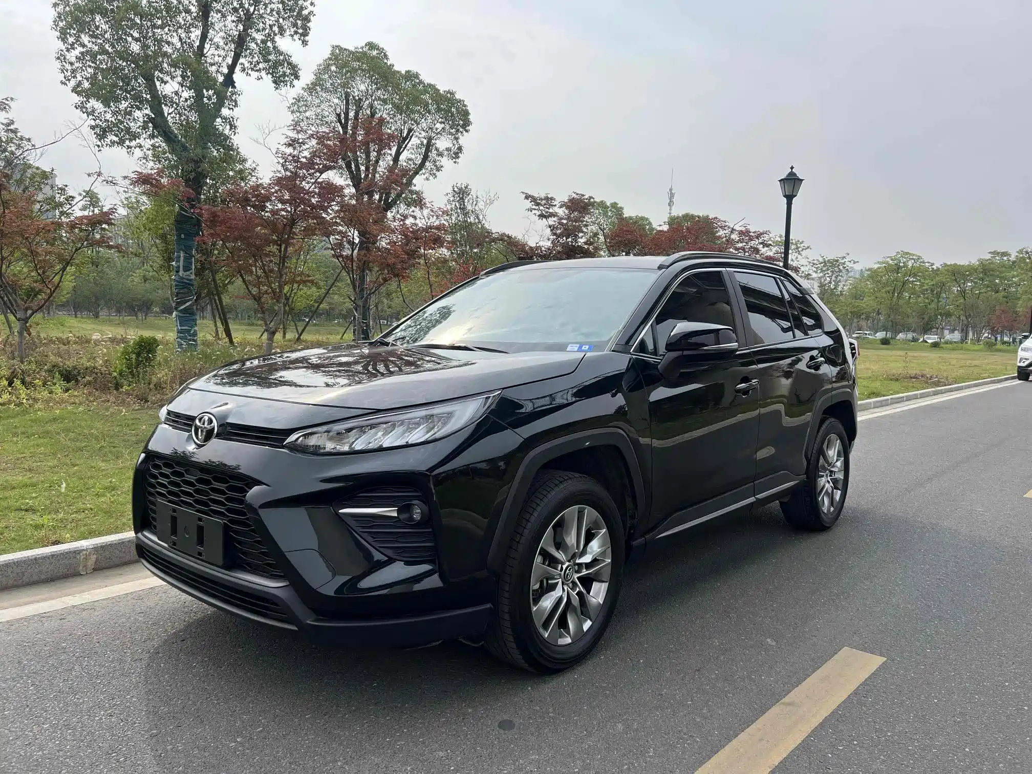 TOYOTA WILDLANDER 2022