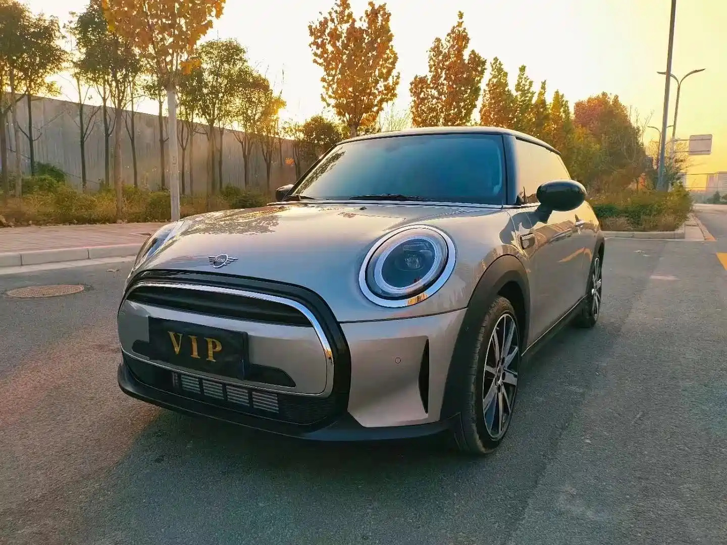 MINI OTHER 2023