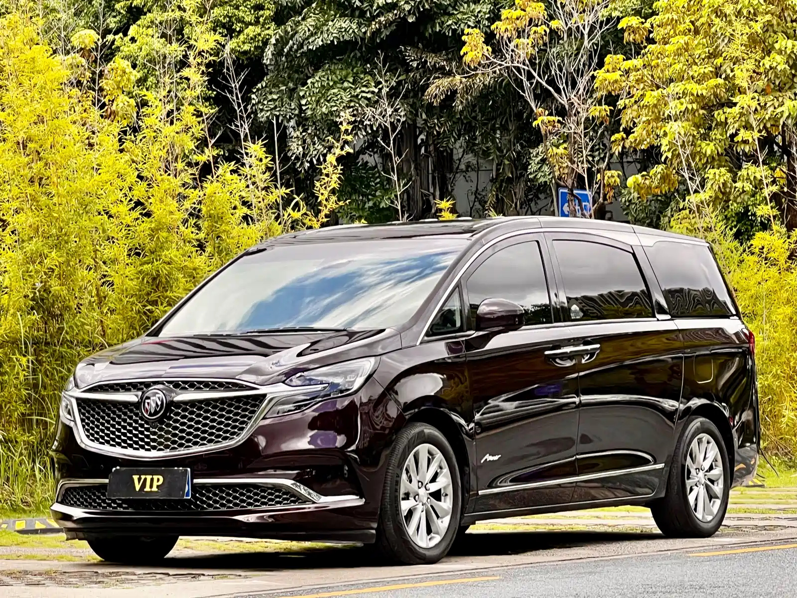 BUICK GL8 2020