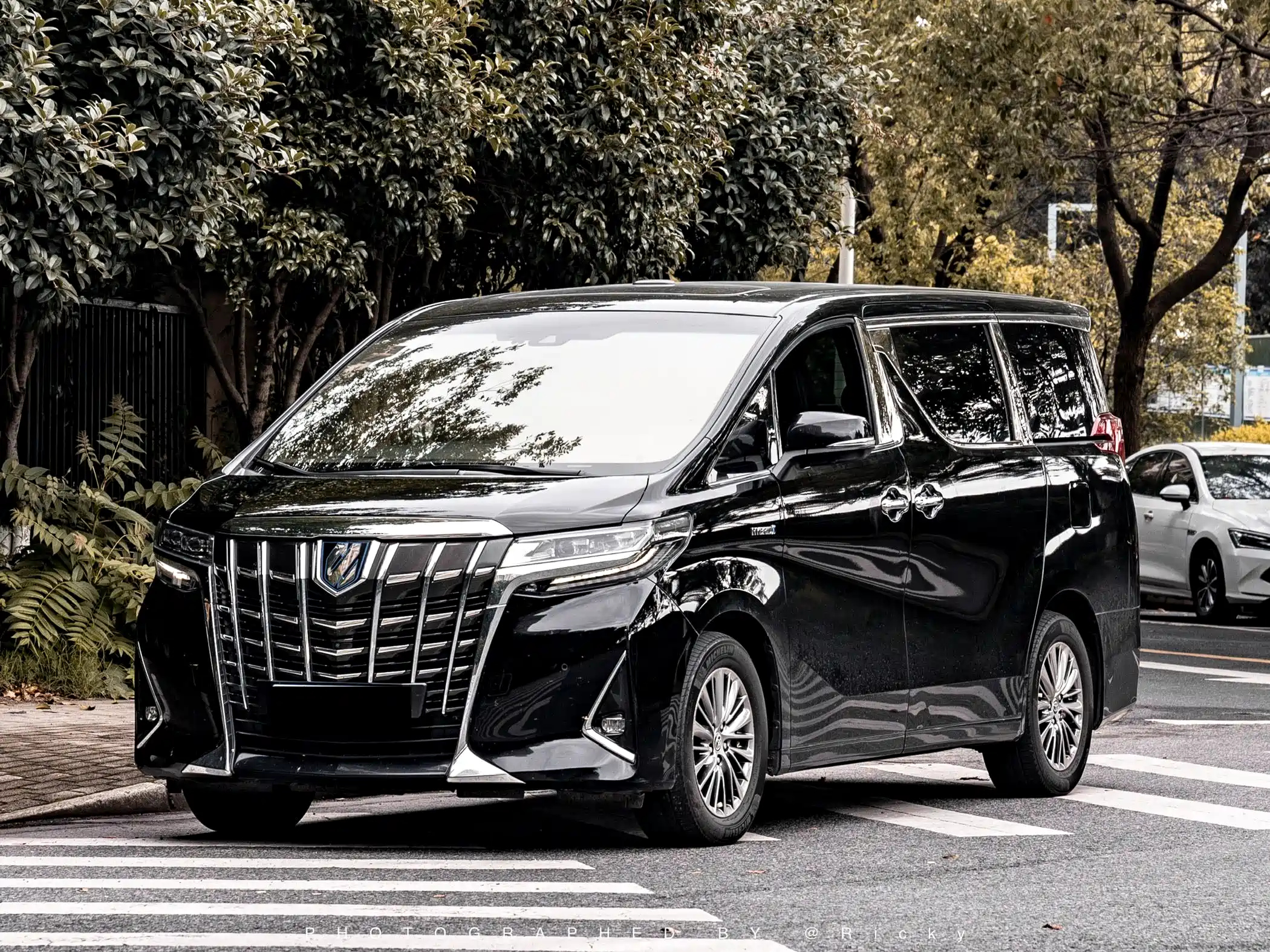 TOYOTA ALPHARD 2019