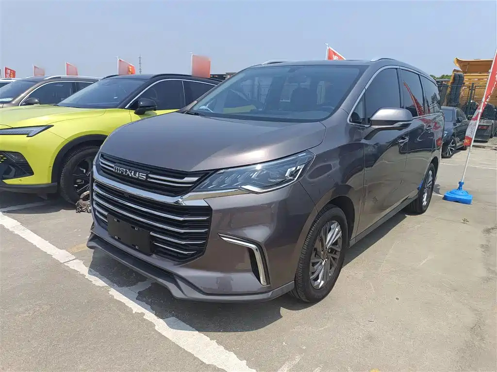 MAXUS OTHER 2020