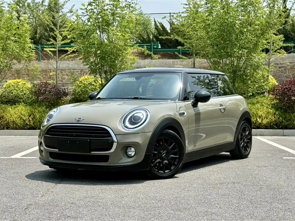 MINI OTHER 2018