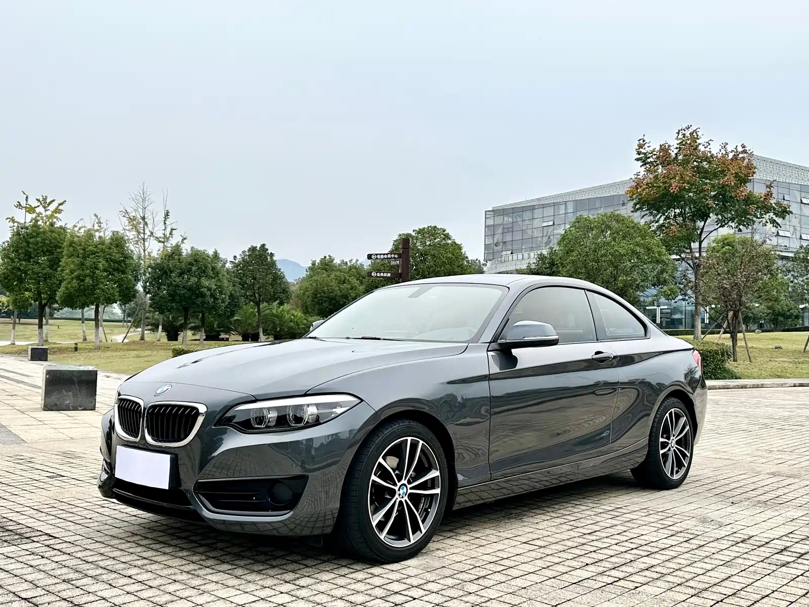 BMW 2-SERIES 2018