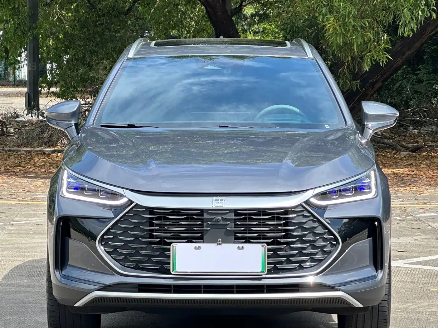 BYD TANG NEW ENERGY 2024