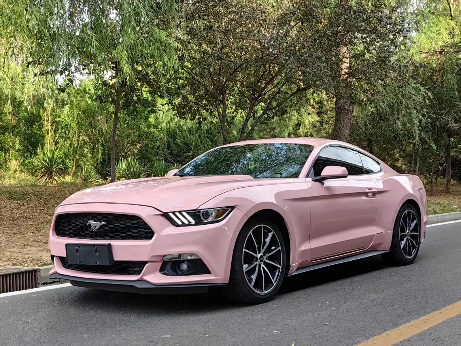 FORD MUSTANG