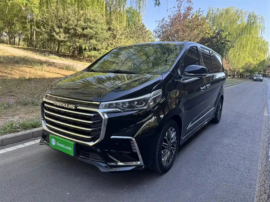 MAXUS OTHER 2020
