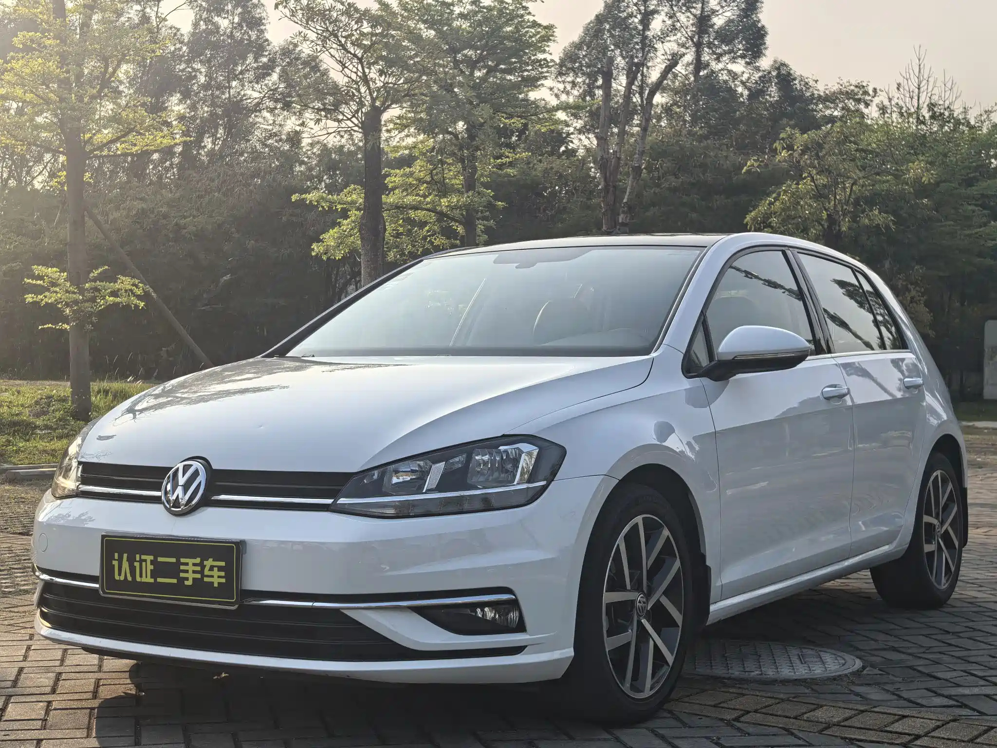 VOLKSWAGEN GOLF 2019