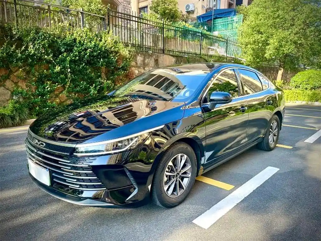 BYD DESTROYER 05 2024