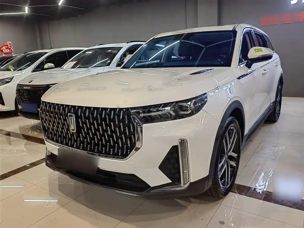BESTURN T99 2020