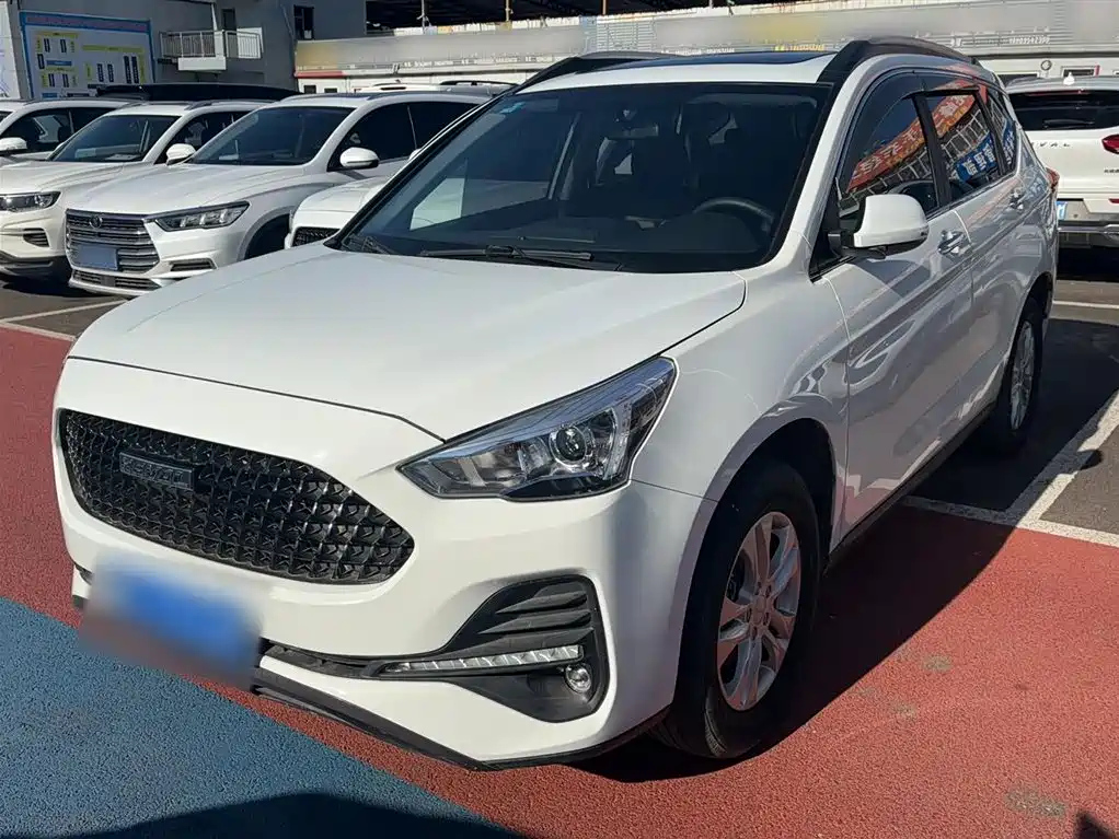 HAVAL M6 2019