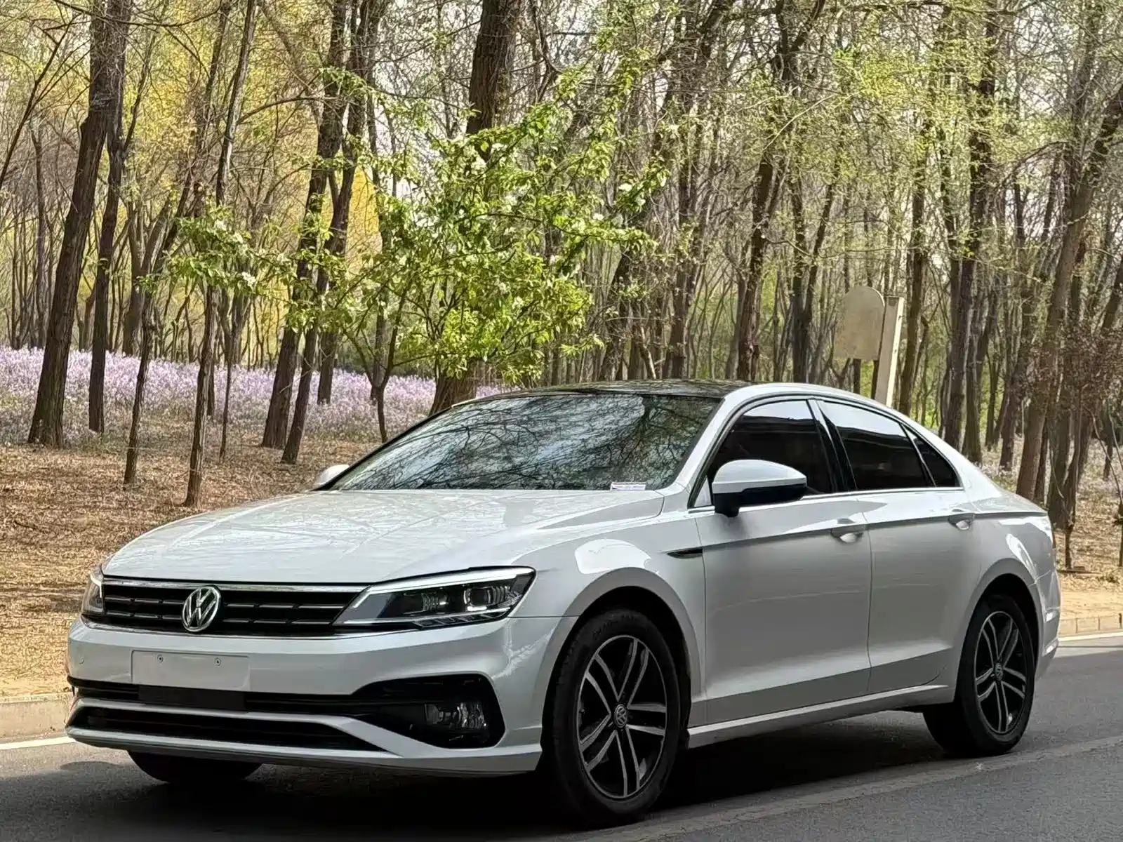 VOLKSWAGEN LAMANDO 2019
