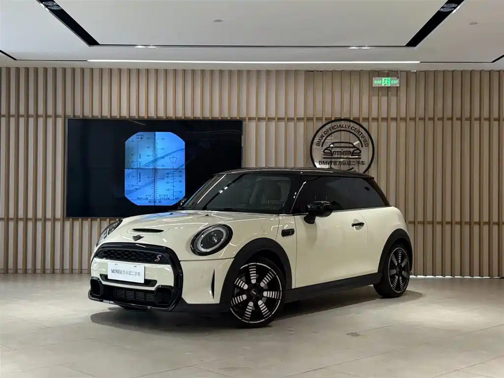 MINI OTHER 2023