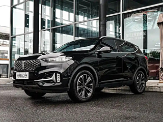 wey vv6