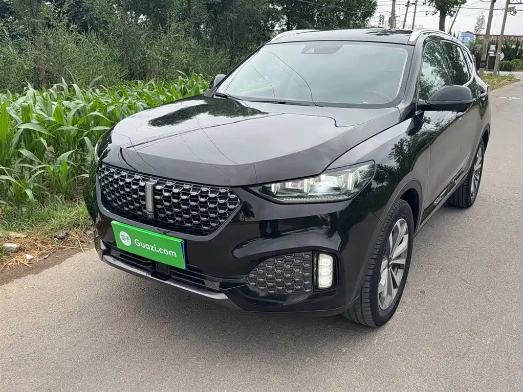 WEY VV6 2019