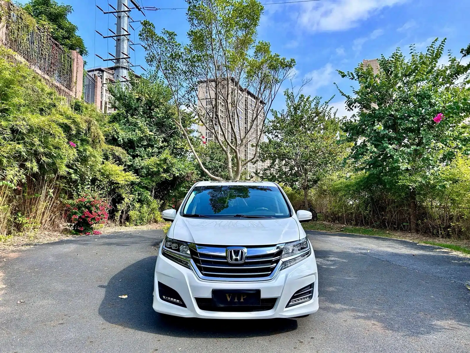 HONDA ALISON 2016