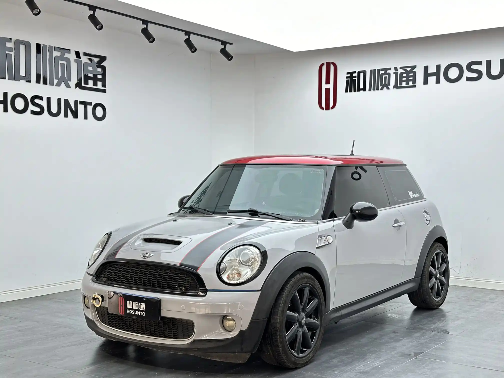 MINI OTHER 2010