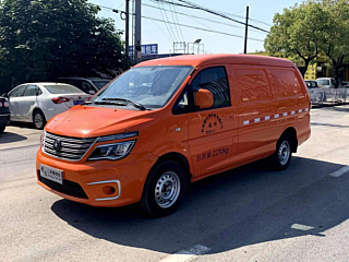dongfeng lingzhi