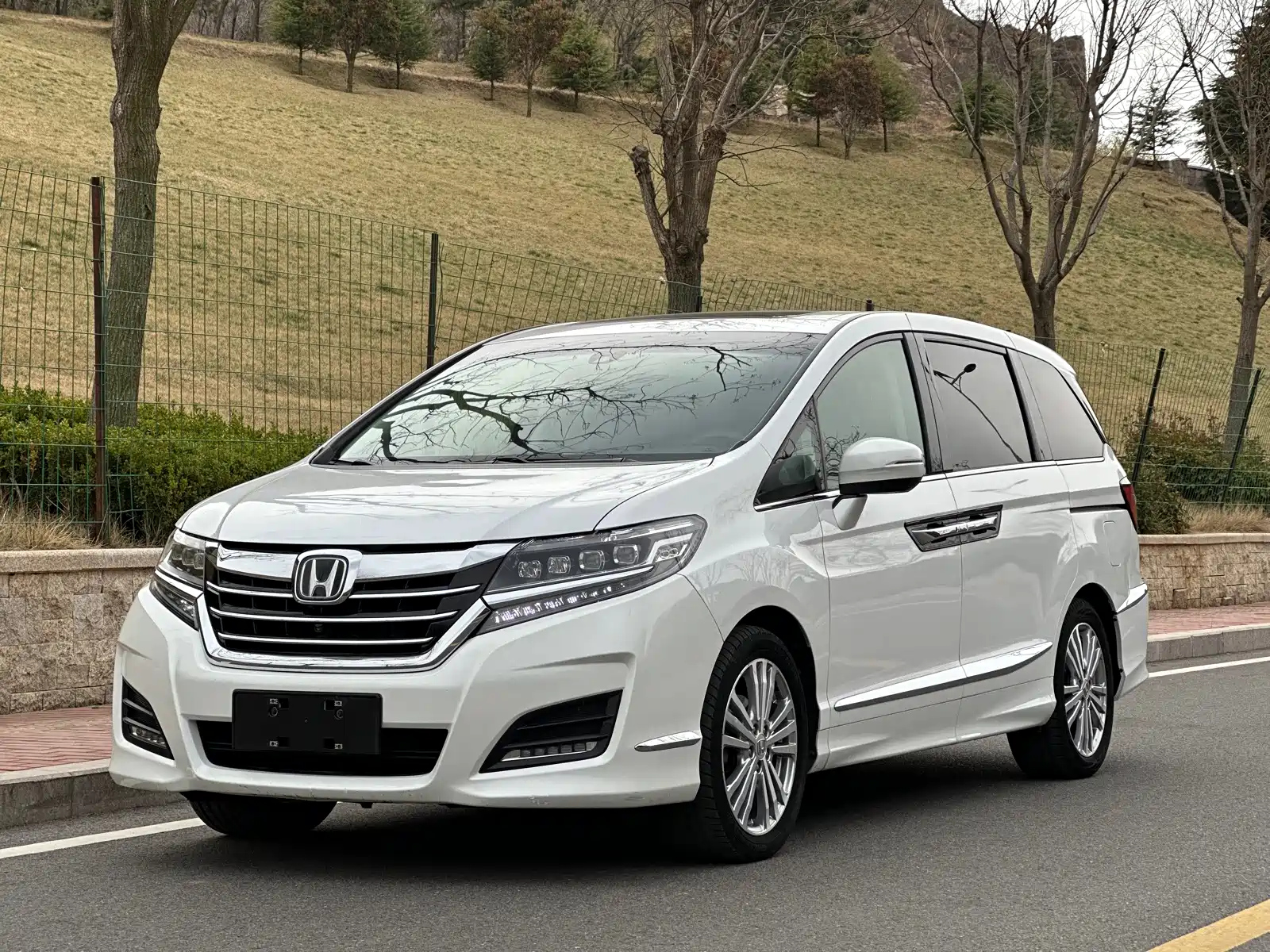 HONDA ALISON 2016