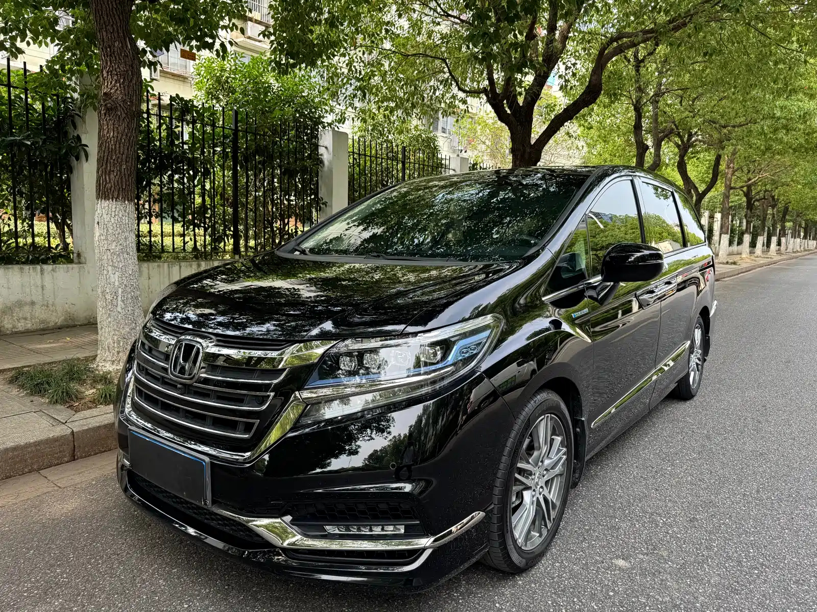 HONDA ALISON 2019