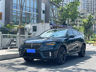 wey vv7