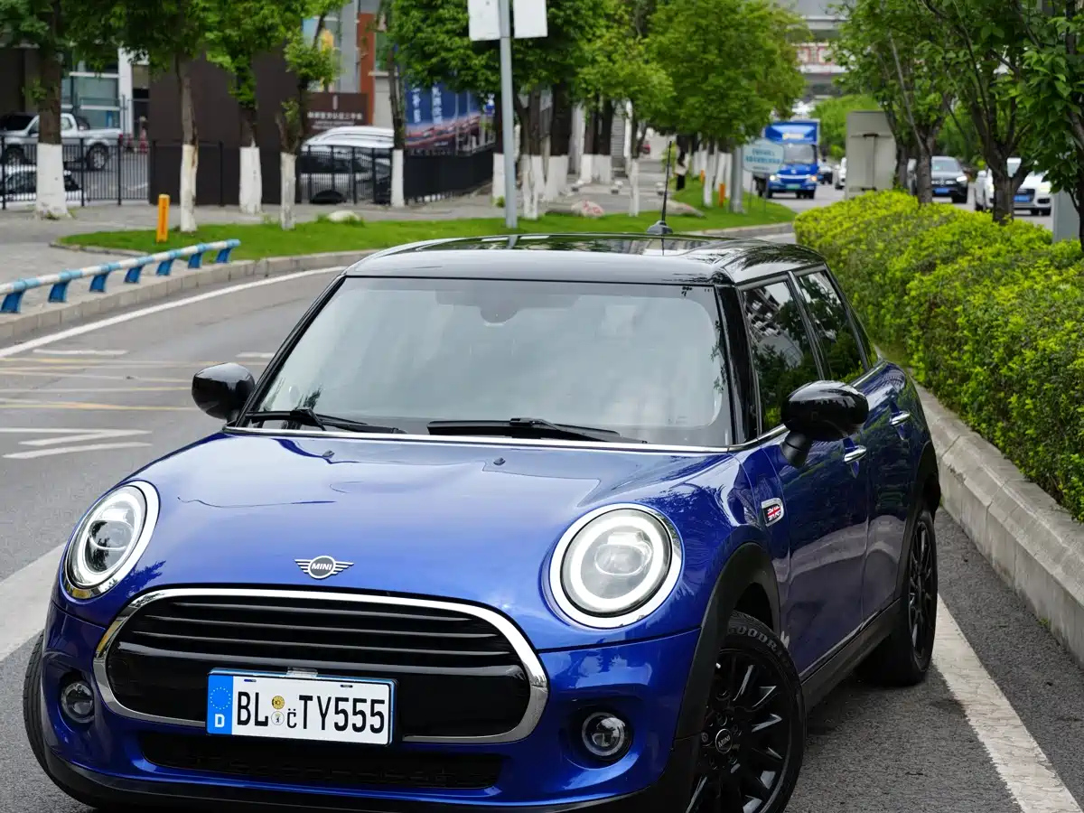 MINI OTHER