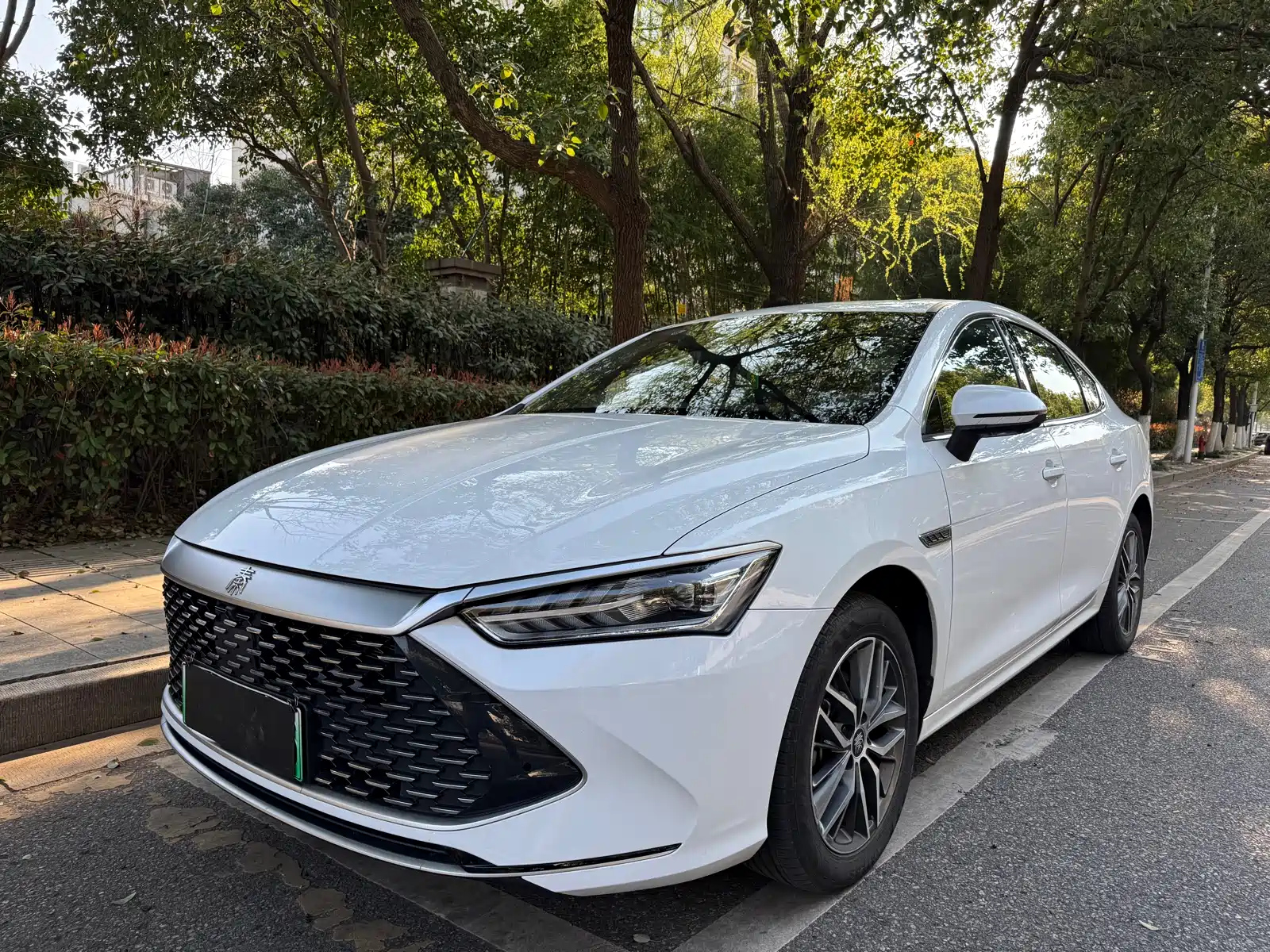 BYD QIN PLUS 2023