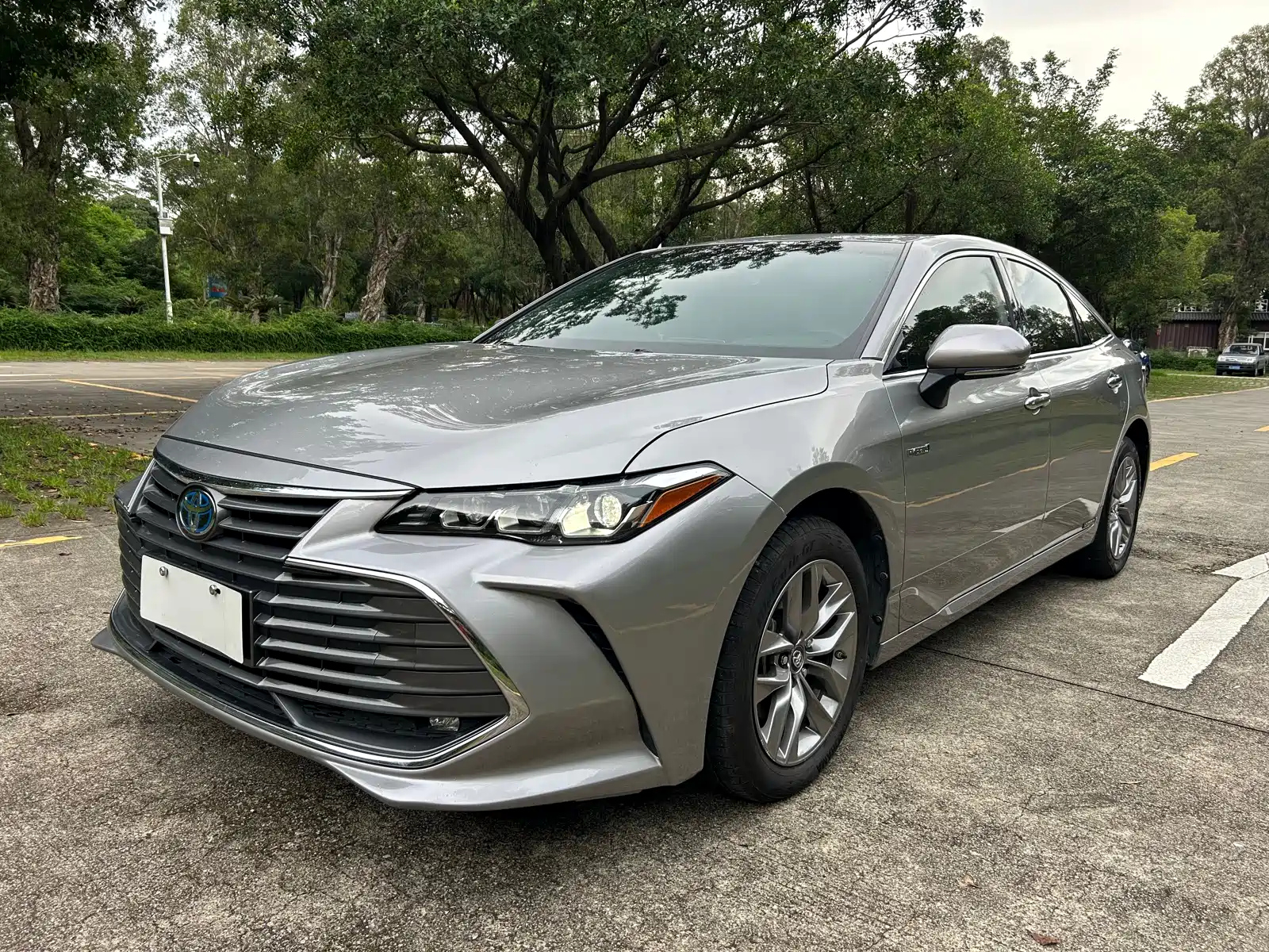 TOYOTA AVALON 2019