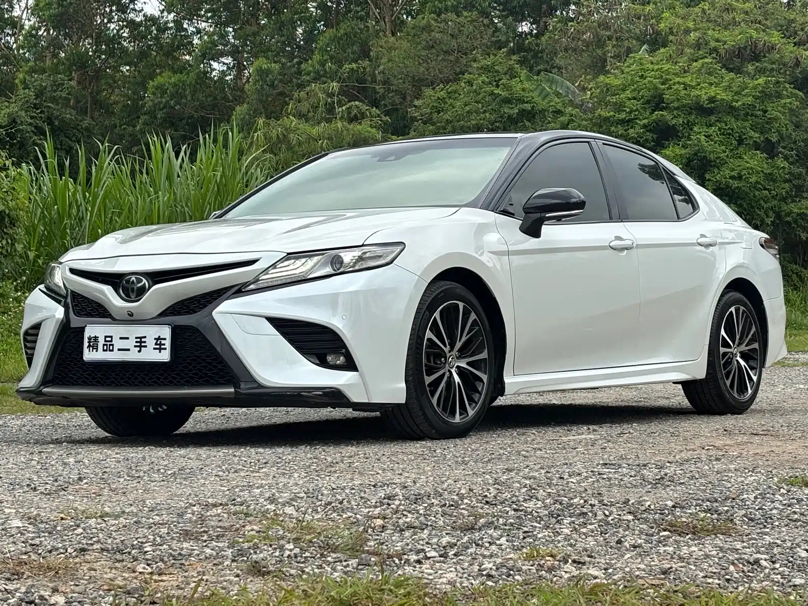TOYOTA CAMRY 2019