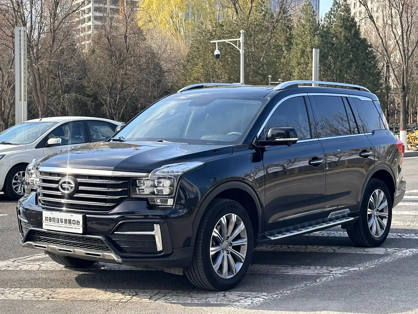 TRUMPCHI GS8 2020