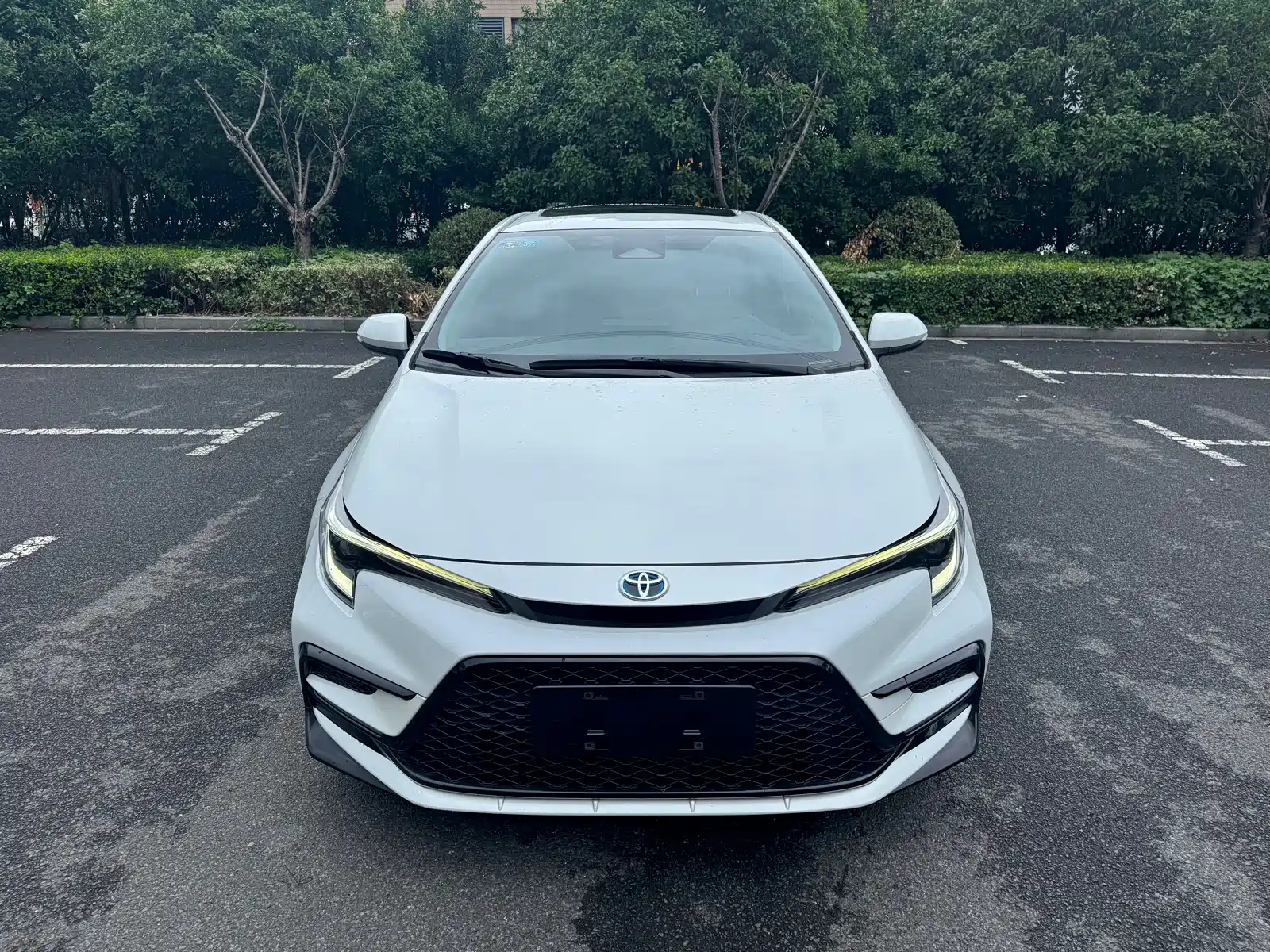 TOYOTA RALINK 2023