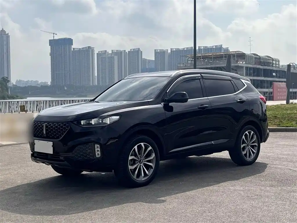 WEY VV6 2020