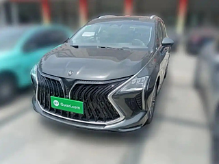 dongfeng other