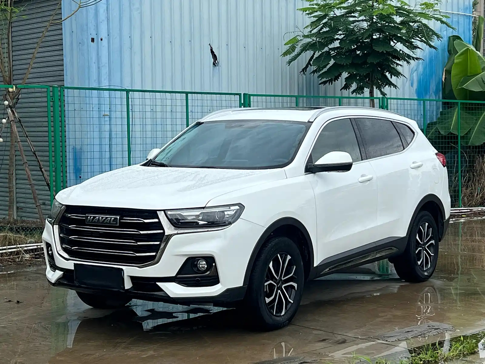 HAVAL H6 2021