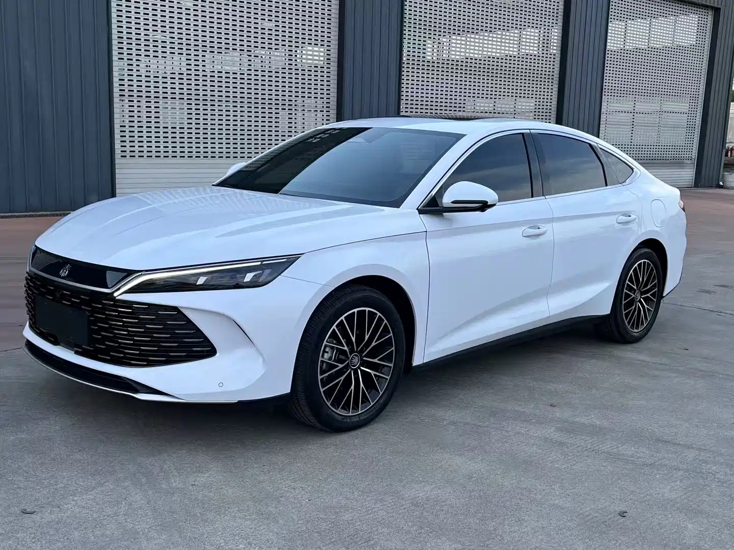 BYD QIN L 2024